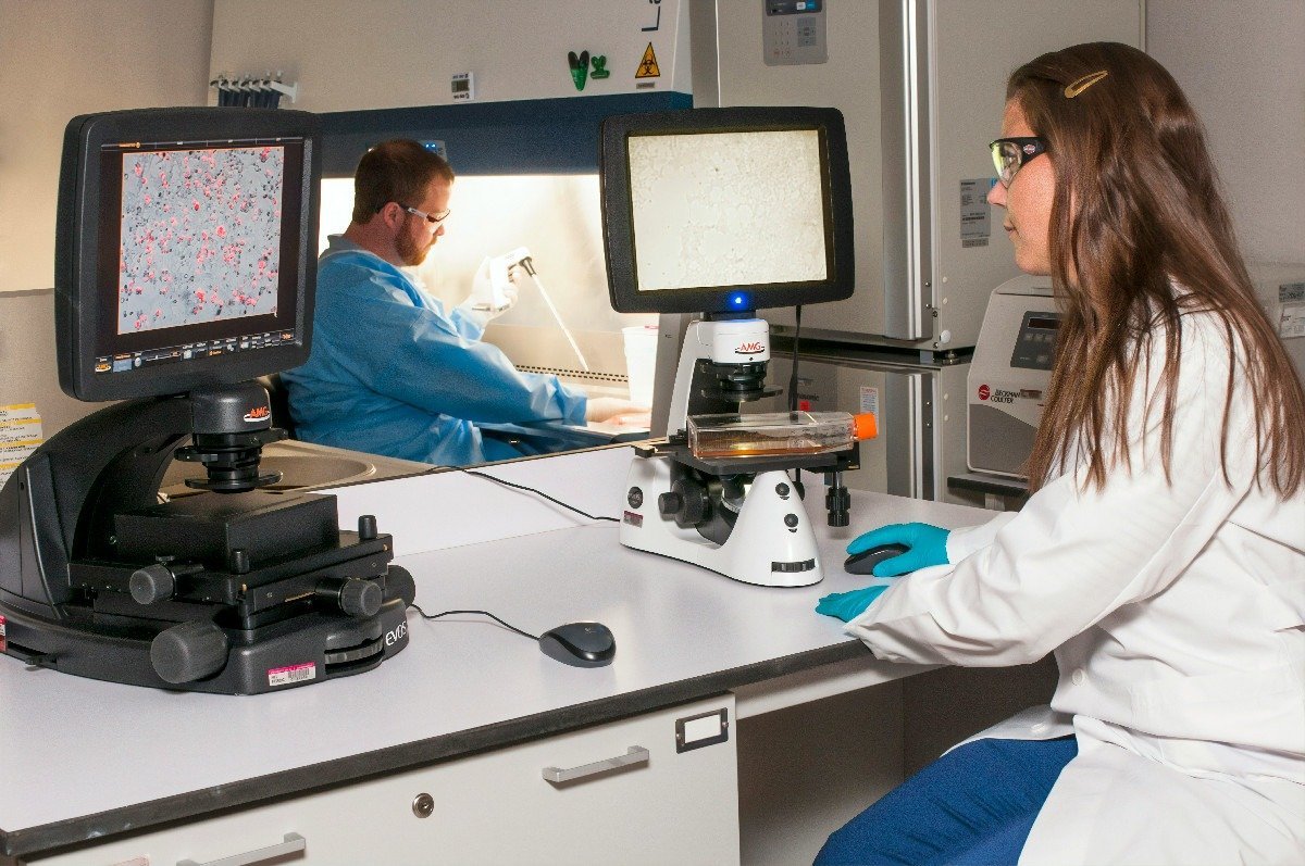 România face un pas decisiv spre alinierea standardelor naționale de formare și evaluare a radiologilor cu cele europene, odată cu aprobarea de către Ministrul Sănătății, Alexandru Rogobete, a metodologiei pentru examenul european în radiologie și imagistică medicală