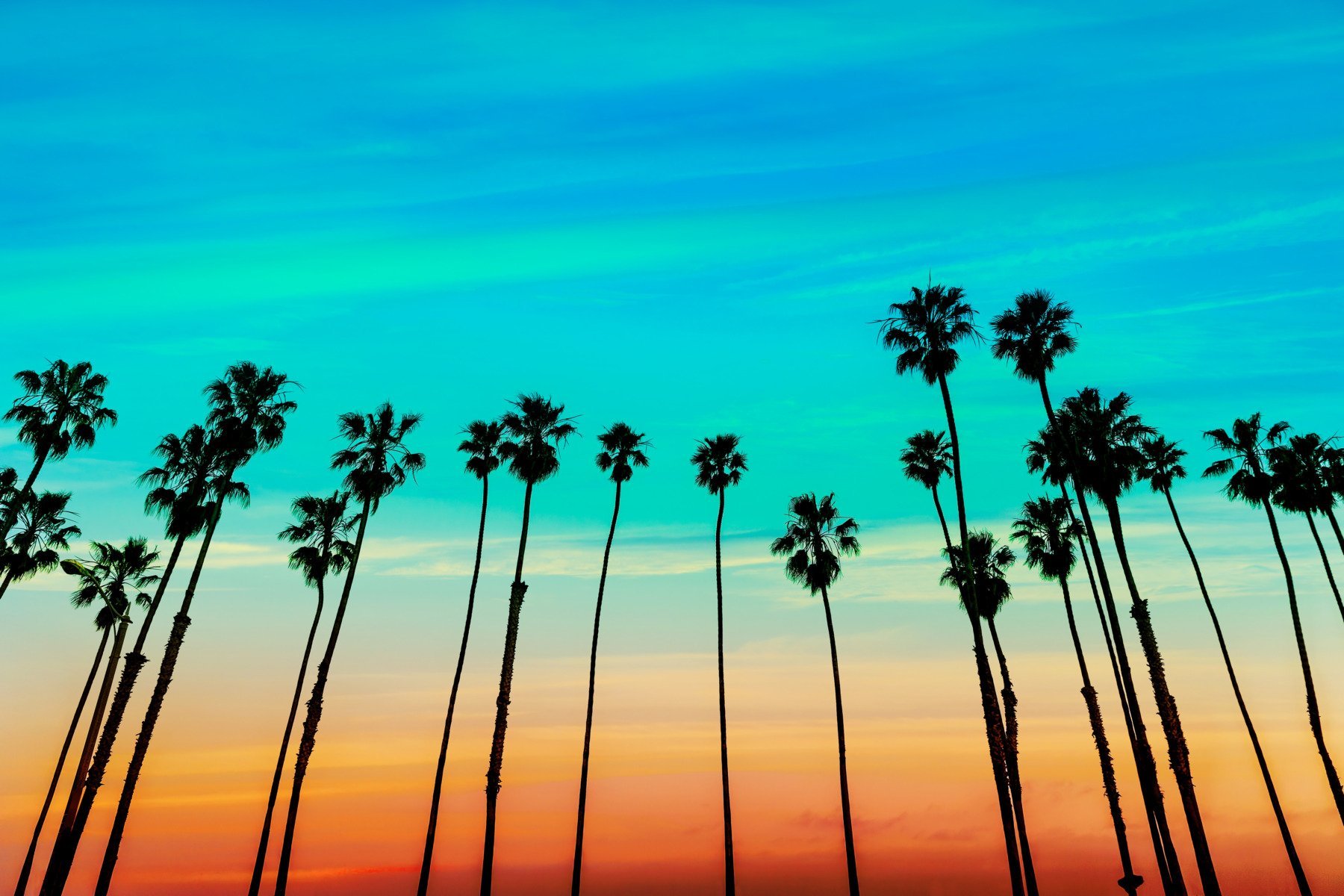 Rezidenți din complexul nudist din California, excluși din cauza solicitării de a se îmbrăca și a întreruperii alimentării cu energie