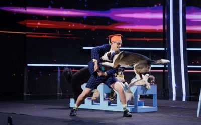 dresor-caini.jpg - ReporterUrban