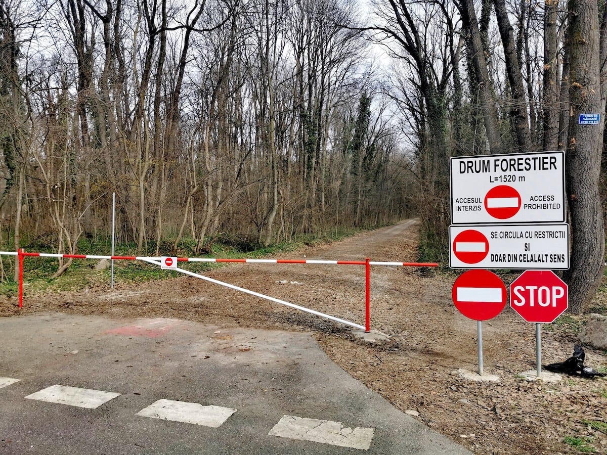 Romsilva neagă demolarea unui drum forestier în Pădurea Băneasa, contrazicând raportul Corpului de Control al Ministerului Mediului, care a generat o adevărată tensiune în zona rezidențială și în rândul activiștilor pentru protecția mediului