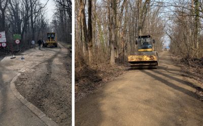 drumulcatregreenfield.jpg - ReporterUrban