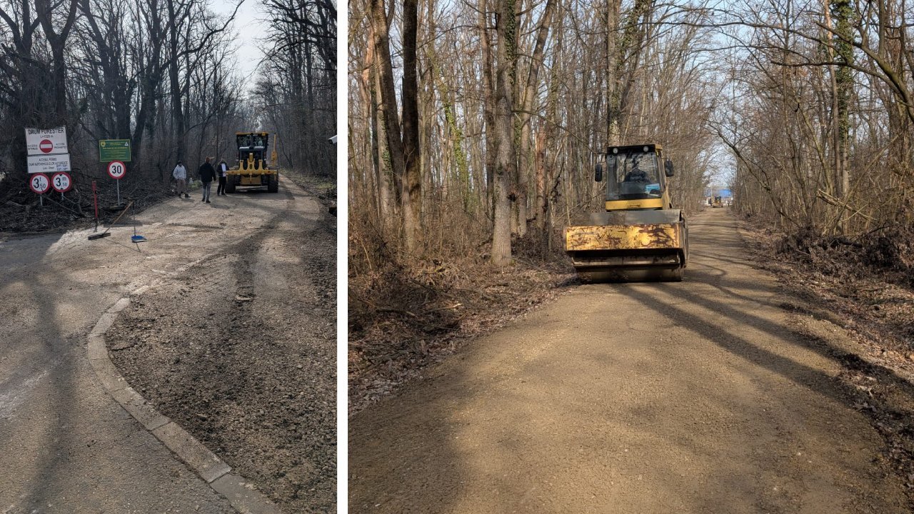 Controverse legate de drumul din pădurea Băneasa: între legalitate și intervenții de modernizare Un scandal de proportii a izbucnit vara aceasta în pădurea Băneasa, unde autoritățile și administrația pradurilor se contrazic în privința statutului și destinului unui drum care traversează această zonă protejată