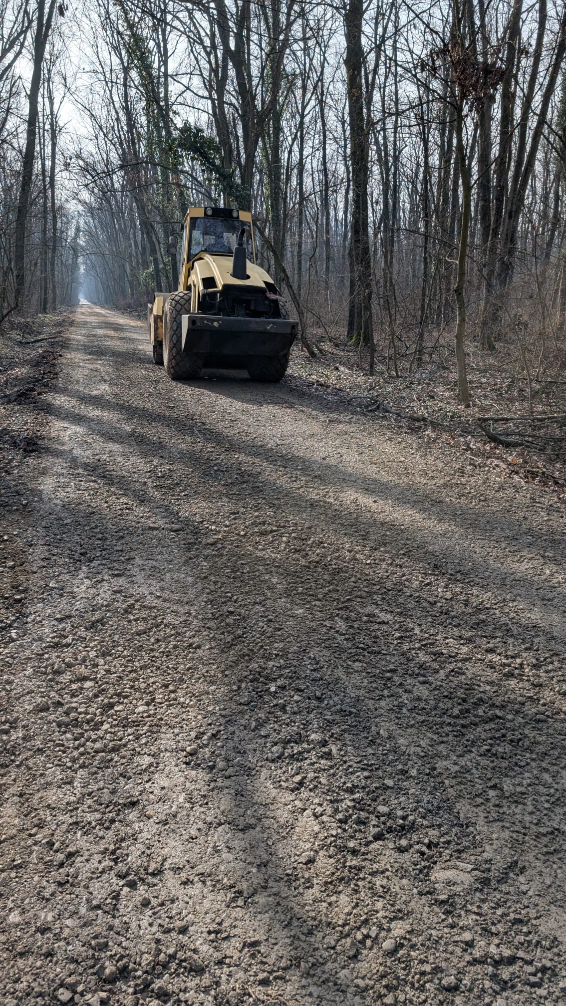 Drumul din Pădurea Băneasa: între controverse legale și revitalizare, cu sprijinul comunității Greenfield În plin de scandal legat de legalitatea și viitorul drumului forestier din Pădurea Băneasa, localnicii din cartierul Greenfield și autoritățile sunt în centrul unui conflict cu accente juridice, tehnice și sociale