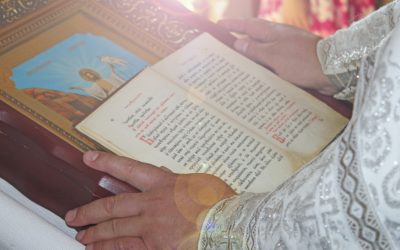 emM9MSZoYXNoPTMzM2E3YmQ3MTcxNDU1Yjk3NWExOTIwZTc3OGNhZmVm.thumb_.jpg - ReporterUrban