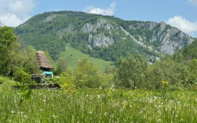 foto-apuseni-sursa-g4media-e1688459569191.jpg - ReporterUrban