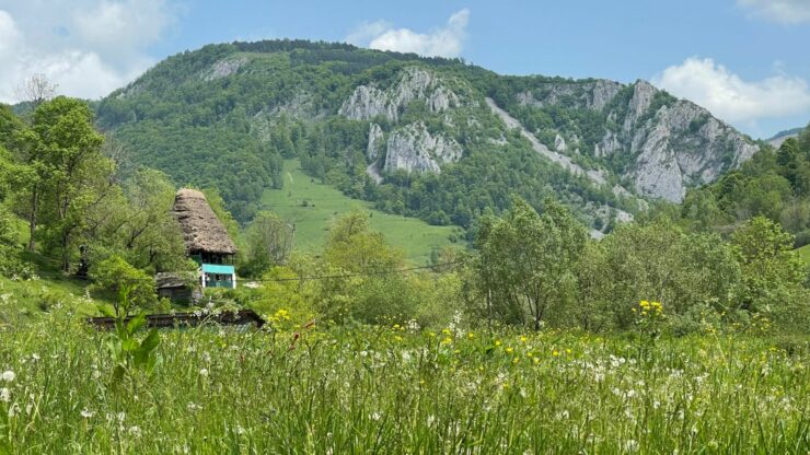 foto-apuseni-sursa-g4media-e1688459569191.jpg - ReporterUrban