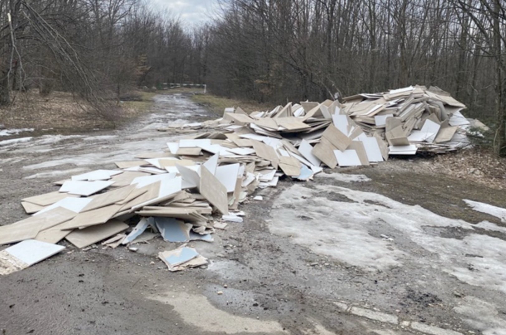 Gunoaiele ilegale din Parcul Național Cheile Nerei–Beușnița: un pericol pentru ecosistemele protejate Un nou incident de mediu a ieșit la iveală în Parcul Național Cheile Nerei–Beușnița, o zonă de o importanță crucială pentru biodiversitatea națională și protejată de legislația de mediu