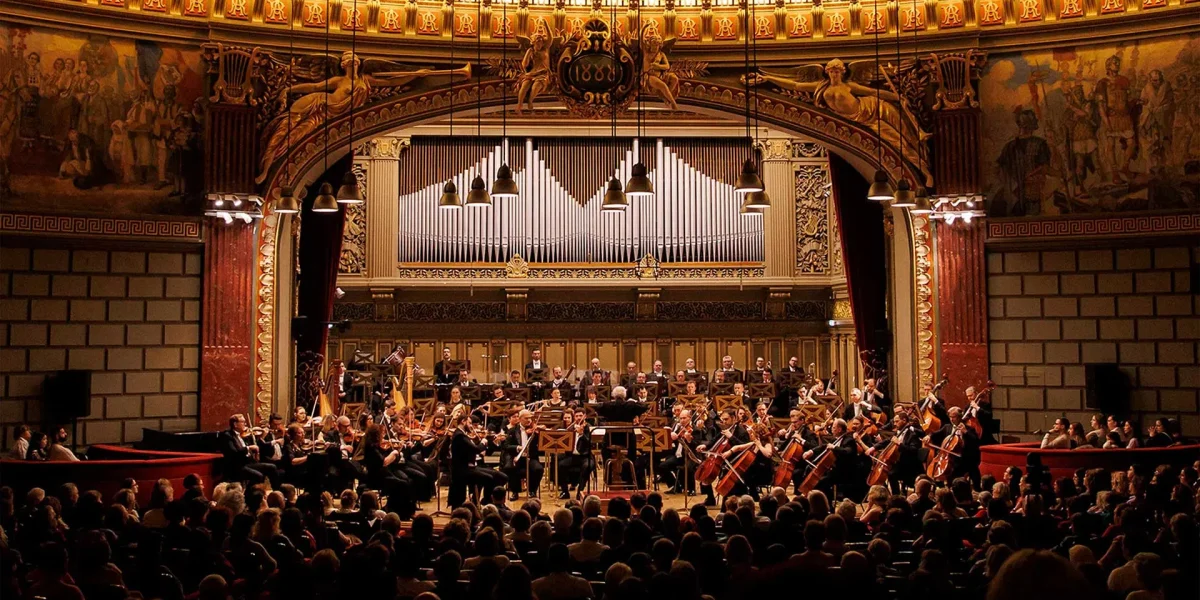 image.webp.webp - ReporterUrban