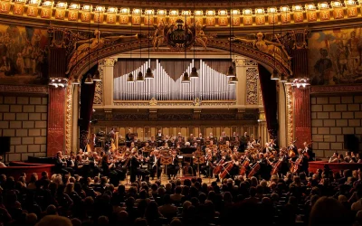 image.webp.webp - ReporterUrban