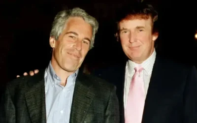 image_1200x675_698059c2b51f5.webp.webp - ReporterUrban