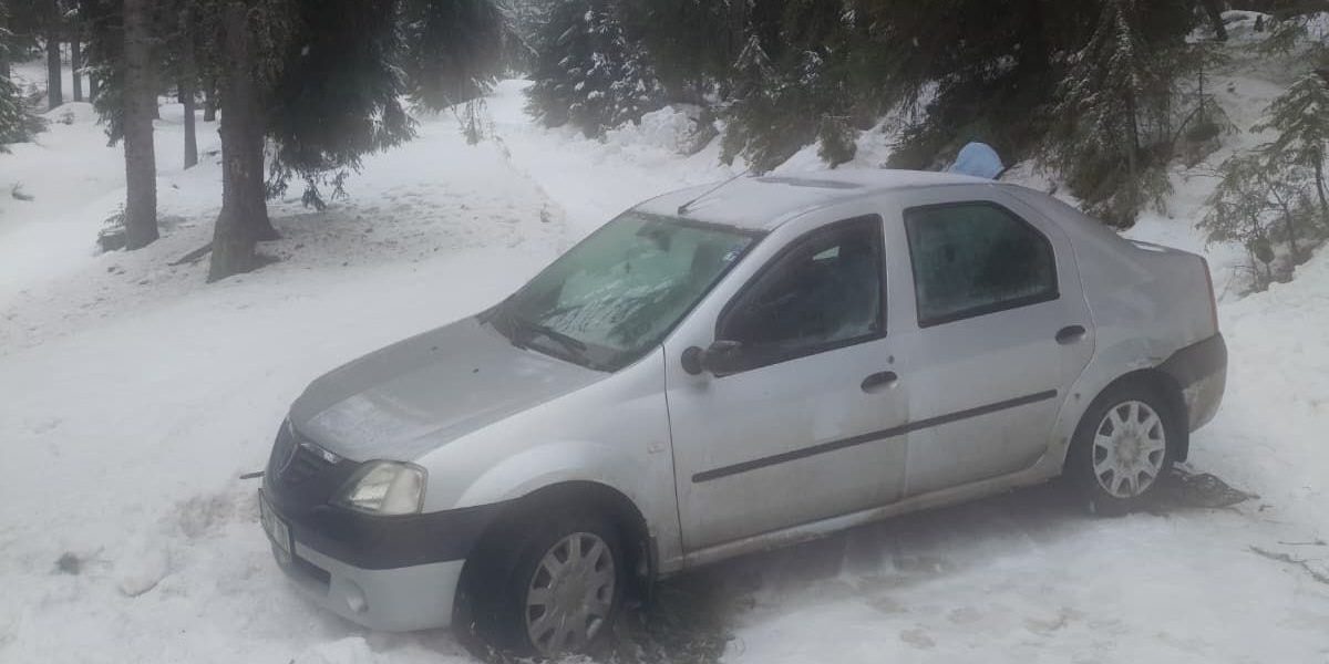 inzapeziti-in-alba.jpeg - ReporterUrban