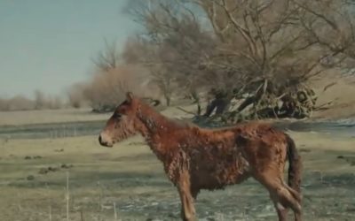 manz.jpg - ReporterUrban