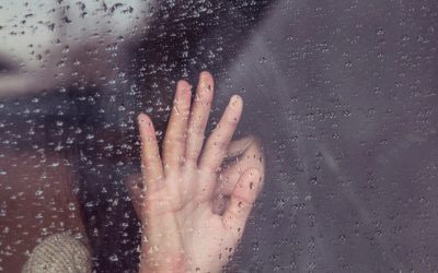 milada-vigerova-kT0tsYZ2YE0-unsplash-e1717931877253.jpg - ReporterUrban