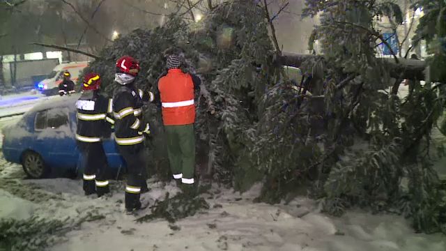 ninsori-bucuresti-4.png - ReporterUrban