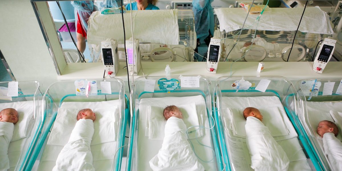 nou-nascut_INQUAM_Photos_George_Calin.jpg - ReporterUrban