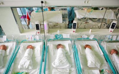 nou-nascut_INQUAM_Photos_George_Calin.jpg - ReporterUrban