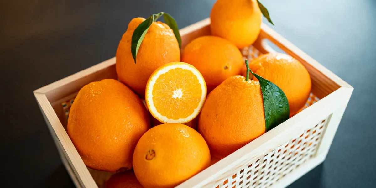 portocale-789528.webp.webp - ReporterUrban