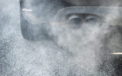 profimedia-0637286709-1-scaled-1.jpg - ReporterUrban