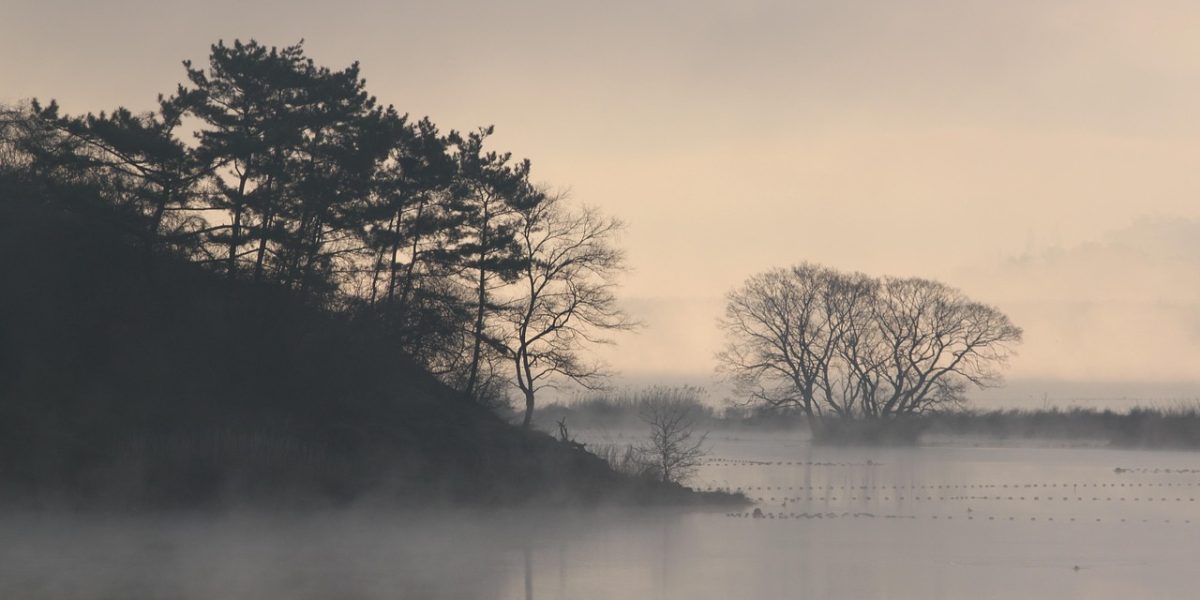 spinelee-bog-7426469_1280.jpg - ReporterUrban