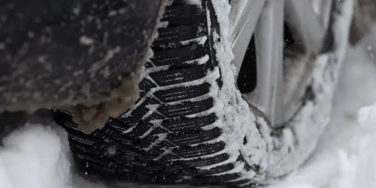 stratdezapada_INQUAM_Photos_Cosmin_Enache.webp.webp - ReporterUrban