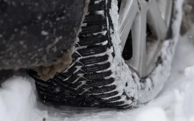 stratdezapada_INQUAM_Photos_Cosmin_Enache.webp.webp - ReporterUrban