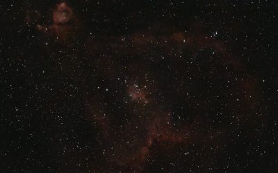 thibault-henry-SAeHlKubA5k-unsplash-scaled.jpg - ReporterUrban