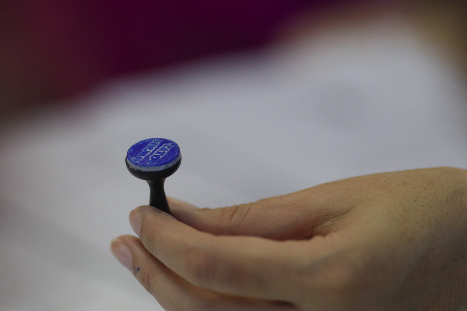 Alegerile parțiale în Sectorul 6, necesare pentru numirea unui nou primar, pot fi amânate până în 2028, dacă Executivul decide astfel, aceasta fiind o posibilitate deschisă în ciuda prevederilor legale