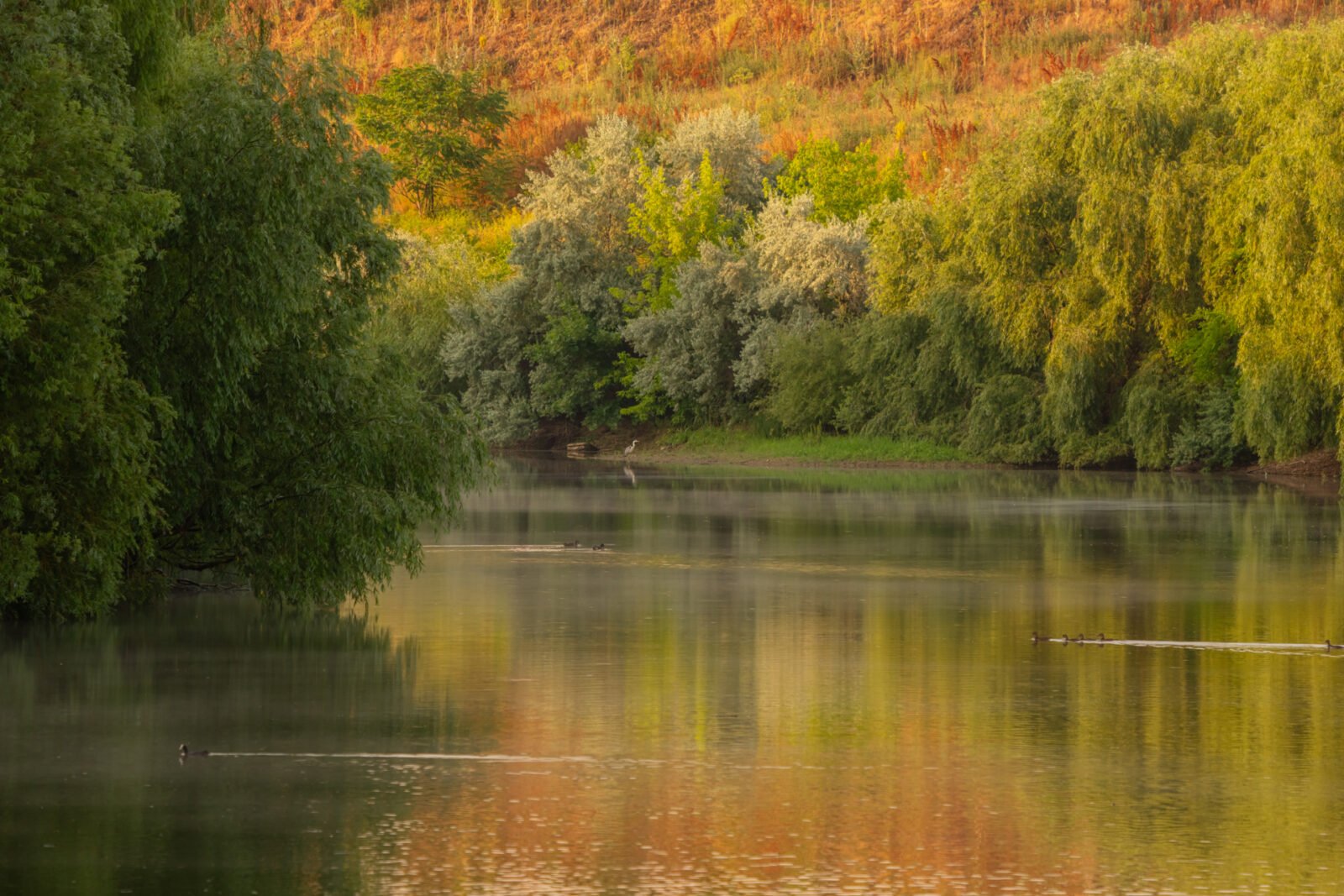 Bucureștiul devine pentru o zi scenă a explorării vizuale și a naturii Orașul București se pregătește să ofere ocazia unui nou concurs între iubitorii de fotografie și natură, cu un atelier special dedicat explorării vizuale a zonei dintre râul Dâmbovița și Lacul Morii