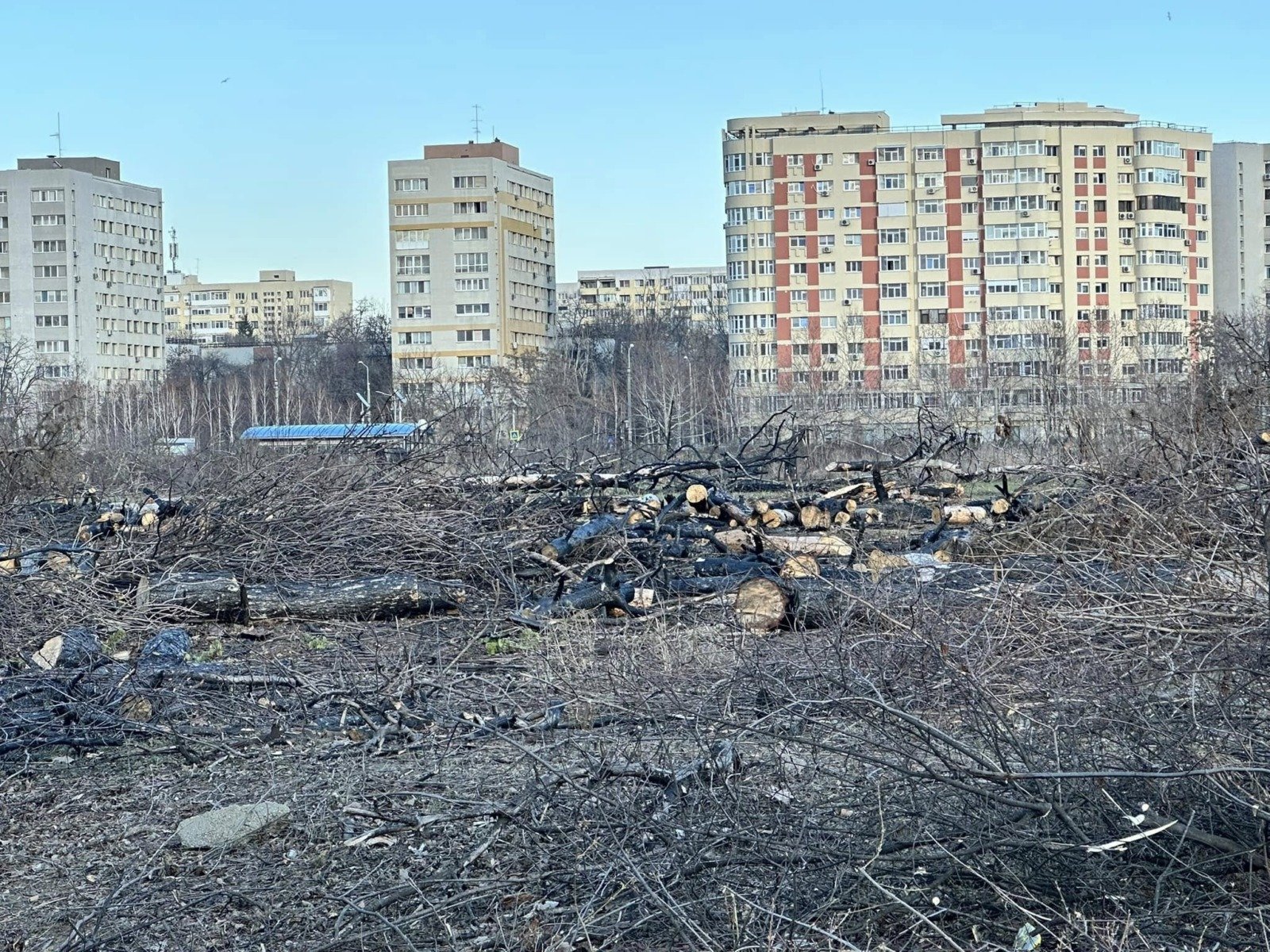 Primarul Capitalei: AUR a avut cerințe rezonabile pentru încetarea boicotului și analizează expropriere etapizată la Parcul IOR