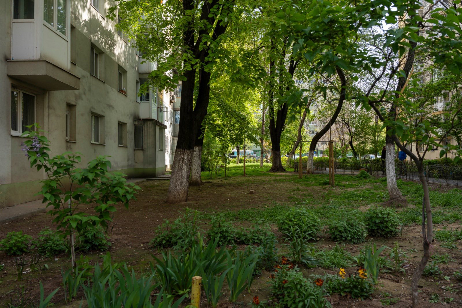 Tinerii din Sectorul 2 al Capitalei au o oportunitate unică de a se implica activ în transformarea orașului, participând la o competiție internațională destinată soluțiilor inovatoare pentru mediu și spații verzi