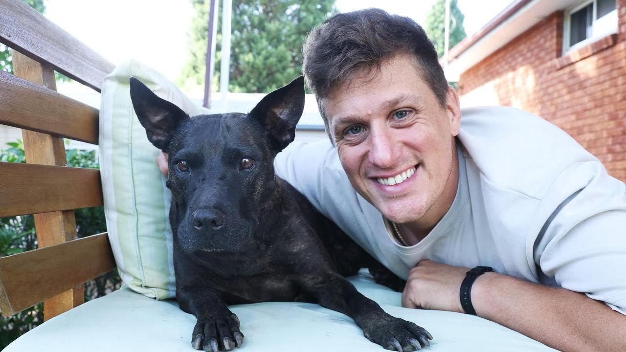 Un antreprenor din Sydney a folosit inteligența artificială pentru a trata un câine diagnosticat cu cancer agresiv, o abordare inovatoare care marchează o premieră în medicina veterinară