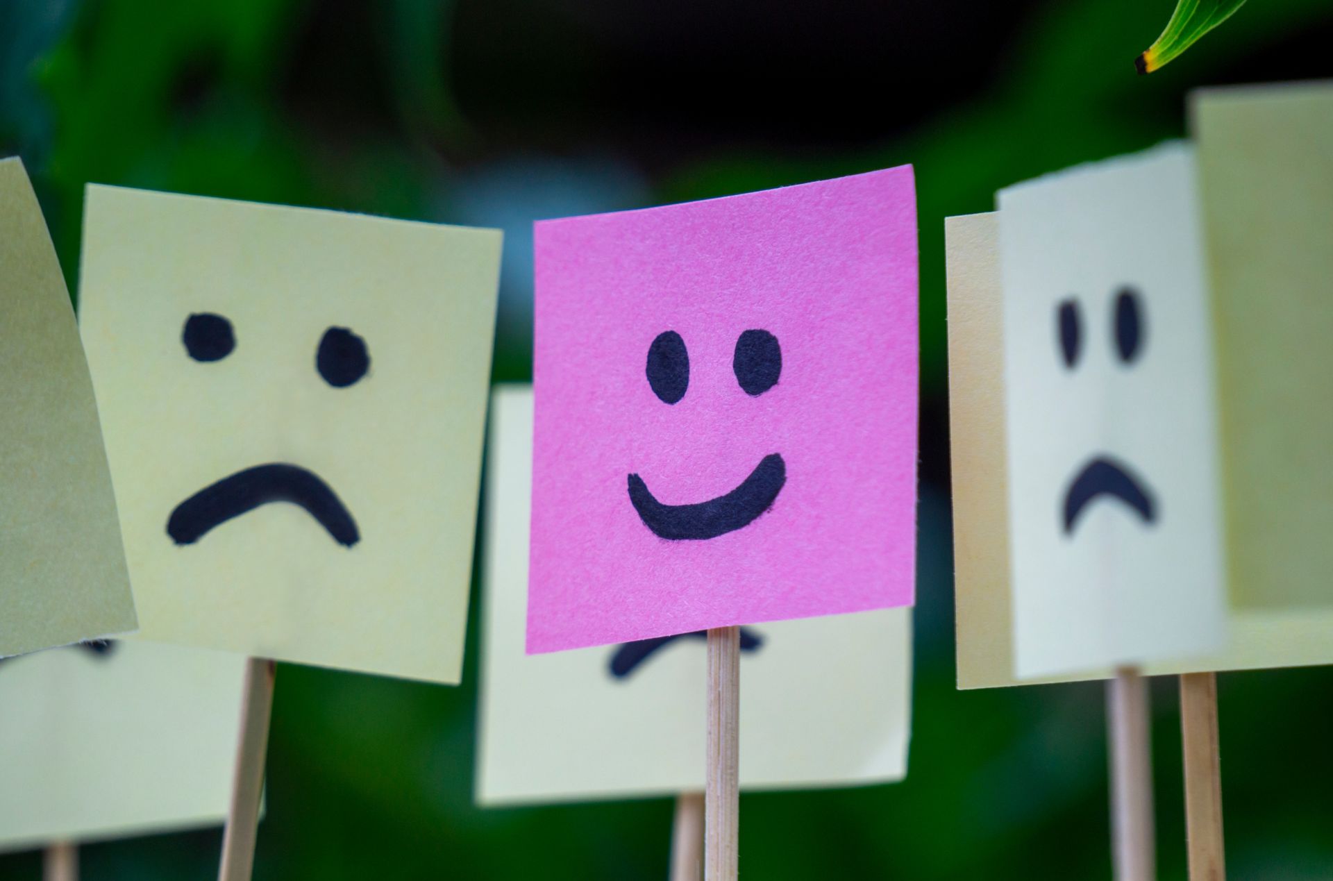 De ce e important să fii amabil în societatea modernă