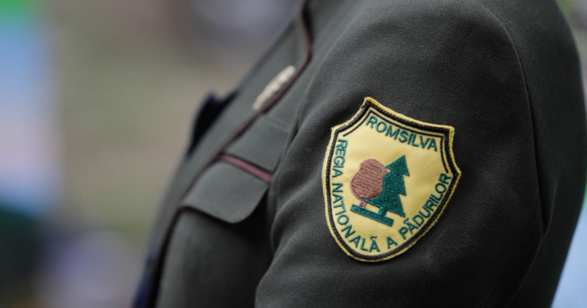 Guvernul României a aprobat joi reorganizarea integrală a structurii Romsilva, transformând modul în care este administrată sectorul silvic național