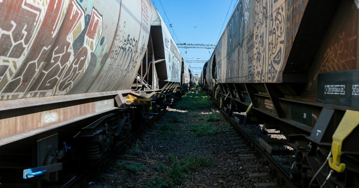 Un accident grav s-a petrecut duminică după-amiază în stația Halta de Mișcare Chiajna, aducând în prim-plan pericolele latenței și lipsei de atenție în zonele feroviare neamenajate corespunzător