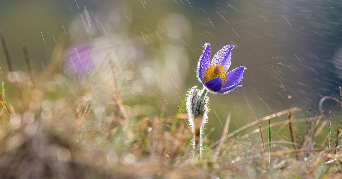 Schimbare bruscă a vremii în România. După temperaturile de primăvară, meteorologii anunță o răcire din cauza unui val de aer polar