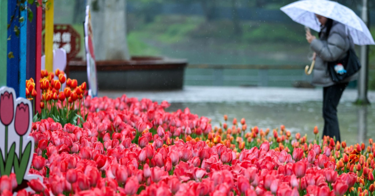 Vreme capricioasă în România: temperaturile cresc, dar vin ploile. Meteorolog: Va avea un caracter pronunțat de schimbare