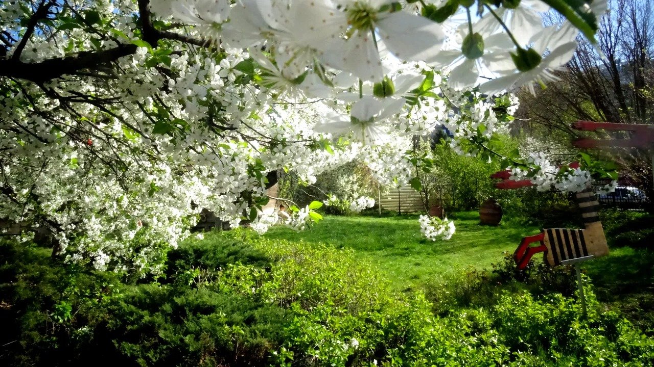 România se confruntă, pentru prima dată în această primăvară, cu o vreme neașteptat de caldă, ce pare să prelungească parcursul sezonului cald chiar și în plină luna martie