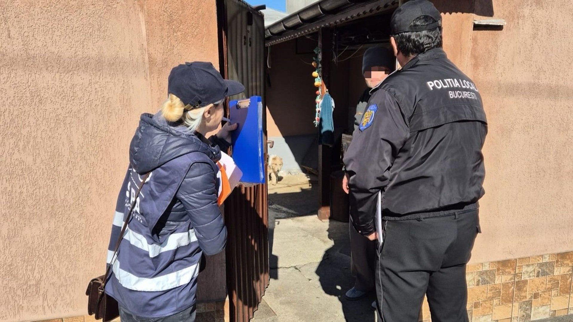 Campanie de sterilizări și microcipări gratuite pentru câinii din Sectorul 5, în weekend Autoritățile locale din Sectorul 5 al Capitalei pregătesc o acțiune importantă pentru gestionarea populației de câini fără stăpân și pentru prevenirea abandonului animalelor