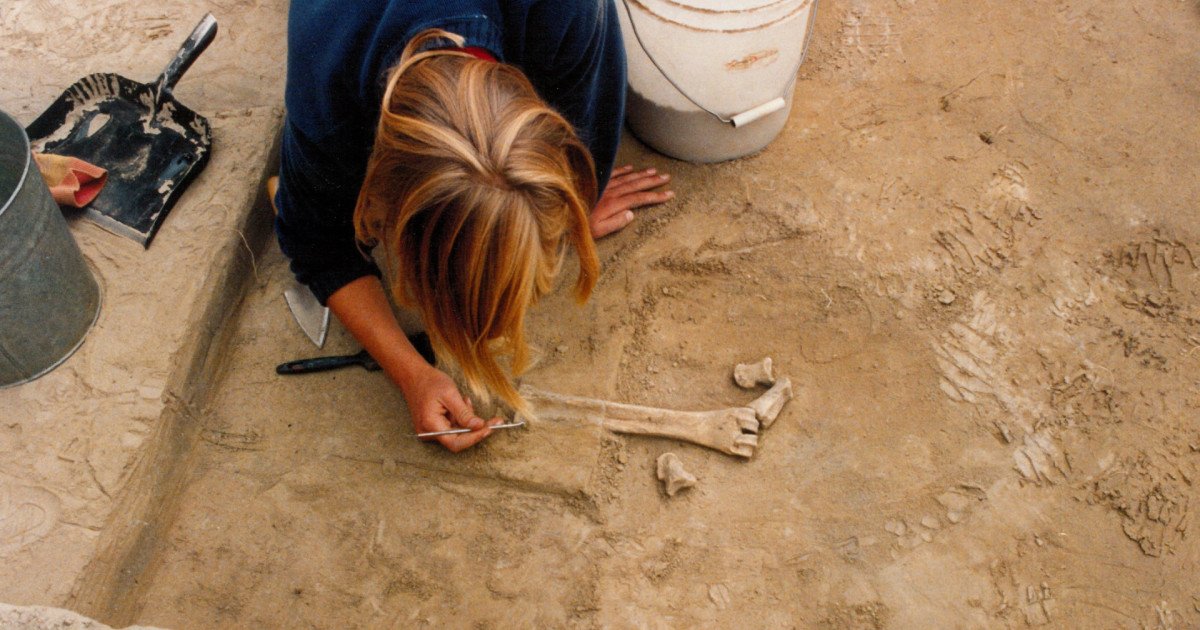 O descoperire arheologică remarcabilă din Alaska oferă o perspectivă inedită asupra dispersiei timpurii a oamenilor în America de Nord