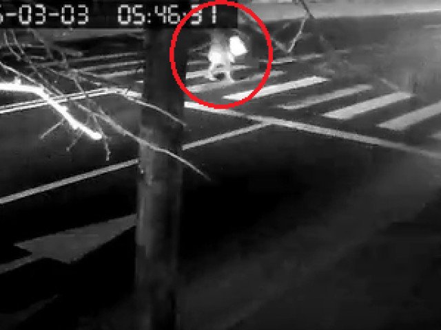 Un incident grav petrecut în centrul Bucureștiului a atras atenția asupra comportamentului șoferilor în traversarea pietonală, după ce Kader Keita, un bărbat de 27 de ani, a acroșat o femeie pe trecerea de pietoni, cu mașina sa