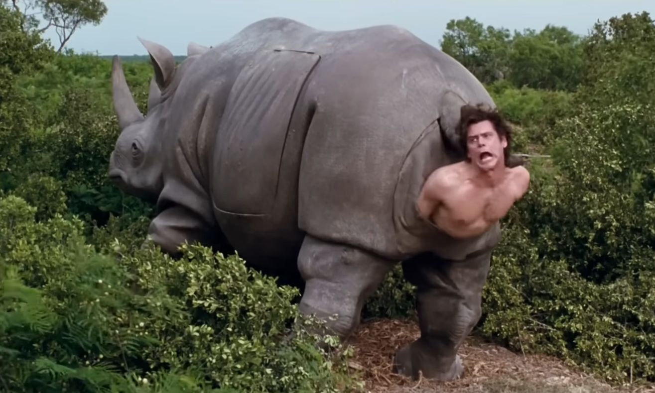 Un obiect de recuzită emblematic din cinematografia anilor ’90, un rinocer mecanic folosit în filmul de comedie „Ace Ventura: When Nature Calls”, se pregătește să-și găsească un nou proprietar