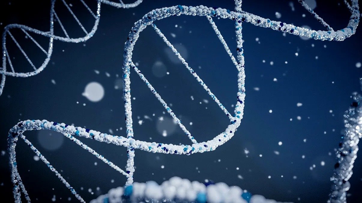 Studiu ADN arată că populația epocii bronzului din Marea Britanie era formată în mare parte din migranți din estul Europei