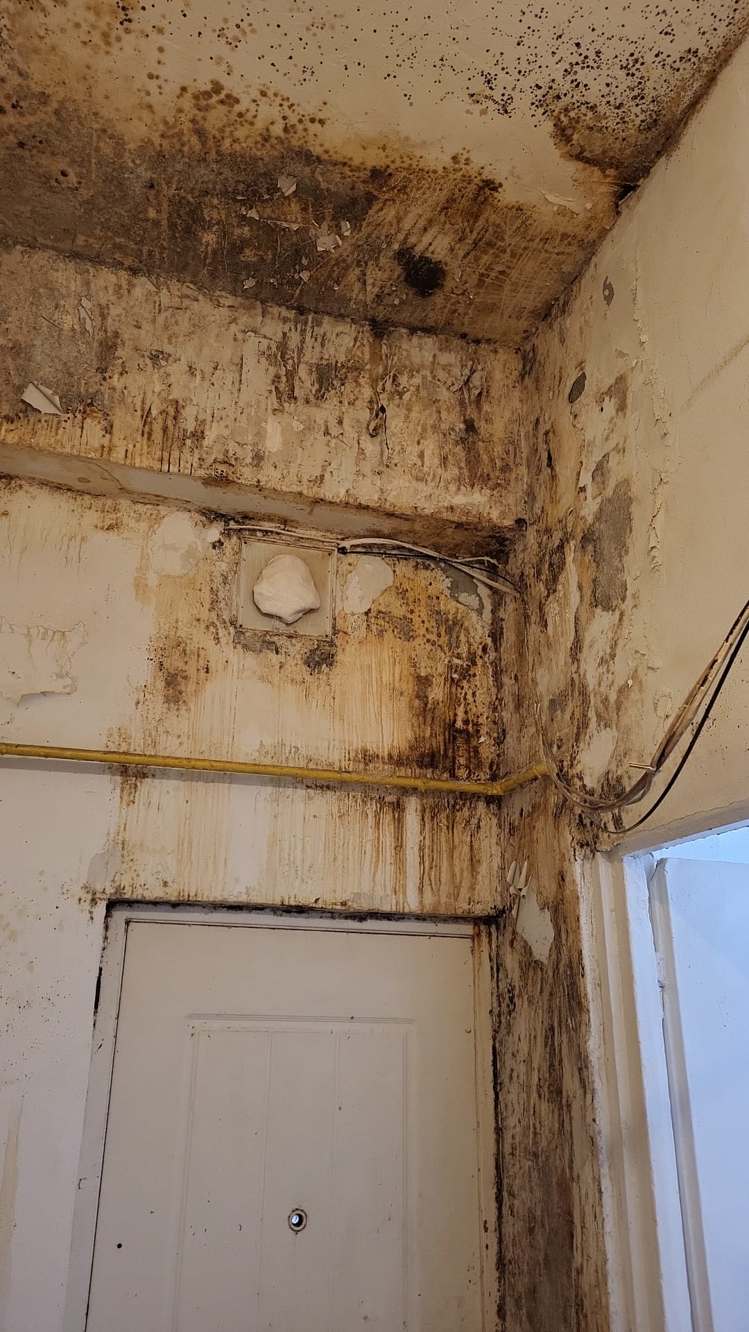 ANPC a desfășurat o amplă acțiune de control în sectorul alimentar între 2 și 6 martie 2026, verificând peste 1.700 de operatori economici din întreaga țară