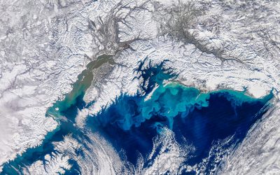 Ghețarul Antarctica a înregistrat cea mai rapidă prăbușire documentată vreodată