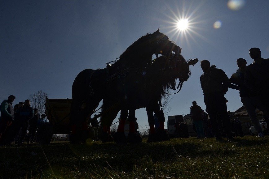 Primarii din zona Iași se opun transformării comunelor în sectoare: „Sunt oameni care trăiesc ca la țară”