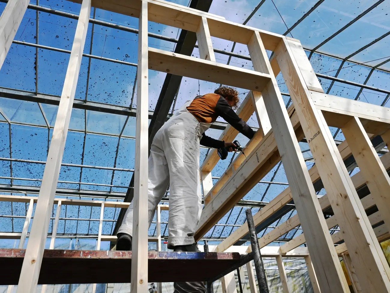 O poveste neașteptată despre inovație și curaj în era tehnologiei face recent valuri pe internet