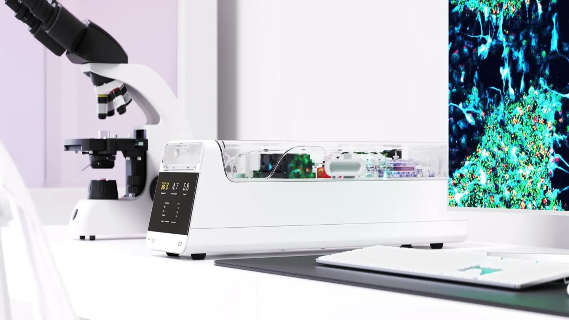 Un progres remarcabil în domeniul tehnologiei și neuroștiinței a fost anunțat recent, înregistrând o premieră care poate schimba fundamental modul în care înțelegem interacțiunea dintre creierul uman și calculatoare