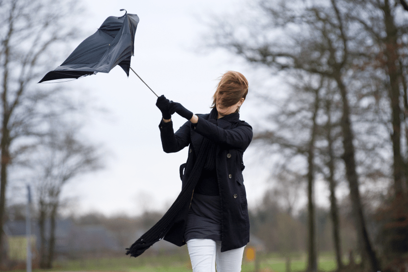 Meteorologii au emis o alertă cod galben de vânt pentru mai multe județe din Moldova și nordul Dobrogei, valabilă până vineri seară, la ora 20.00