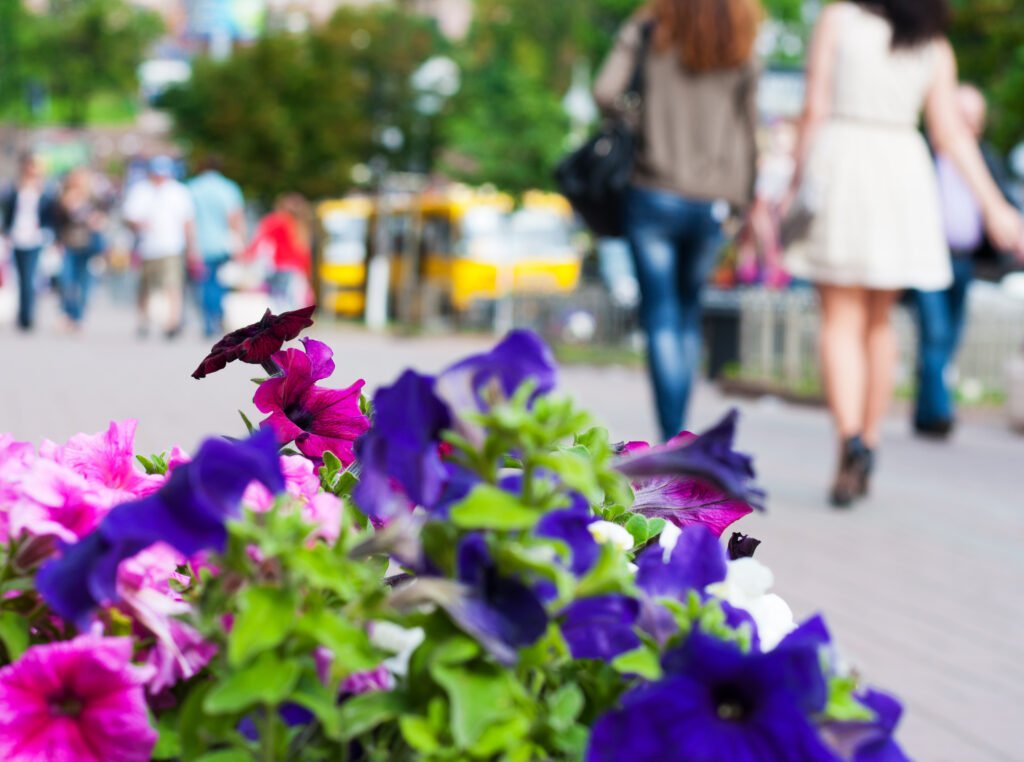 Mulțumirea femeilor în luna martie și realitatea despre rolul lor în societate: între tradiție și modernizare Luna martie aduce în prim-plan festivitățile dedicate femeilor, însă analiza datelor și sondajelor recent efectuate scoate în evidență o discrepanță între imaginea oficială și realitatea de pe teren