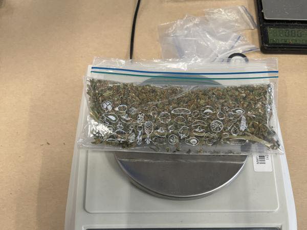 Doi adolescenți din Noua Zeelandă au trecut printr-o experiență neașteptată după ce au uitat un rucsac plin cu substanțe interzise și bani într-o zonă destinată donațiilor